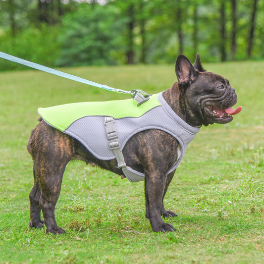 CHILLVEST™ - Cooling vest