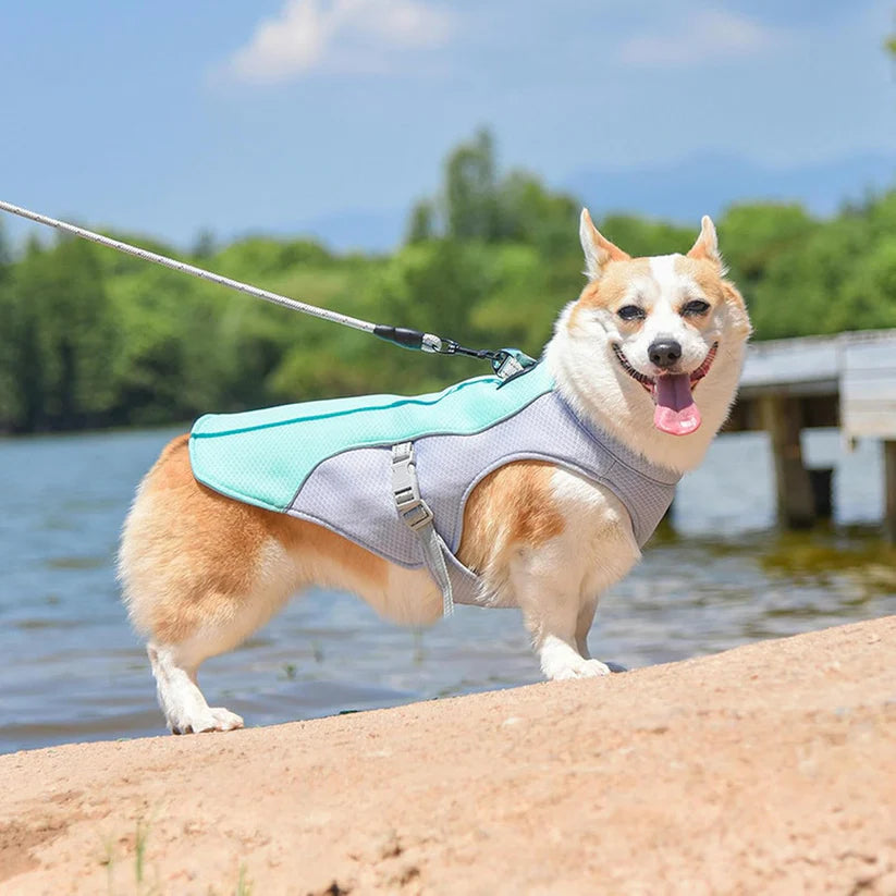 CHILLVEST™ - Cooling vest